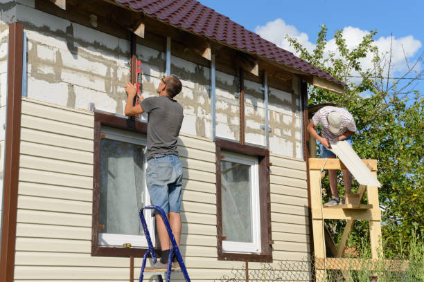 Best Siding Maintenance  in Dilkon, AZ