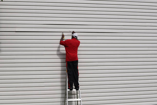 Trusted Dilkon, AZ Siding Experts
