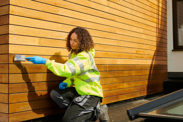Best Siding Removal and Disposal  in Dilkon, AZ